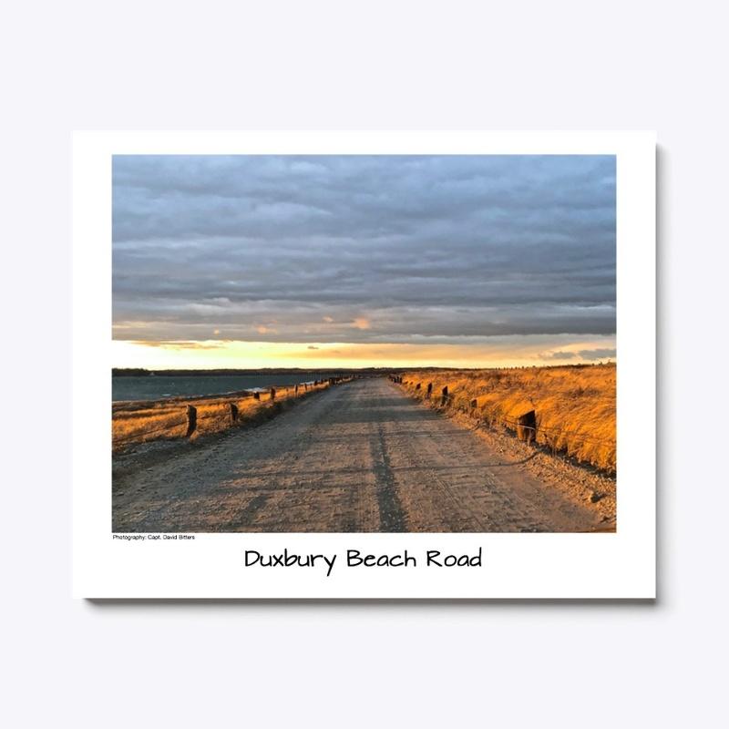 Duxbury Beach Road Indoor Pillow