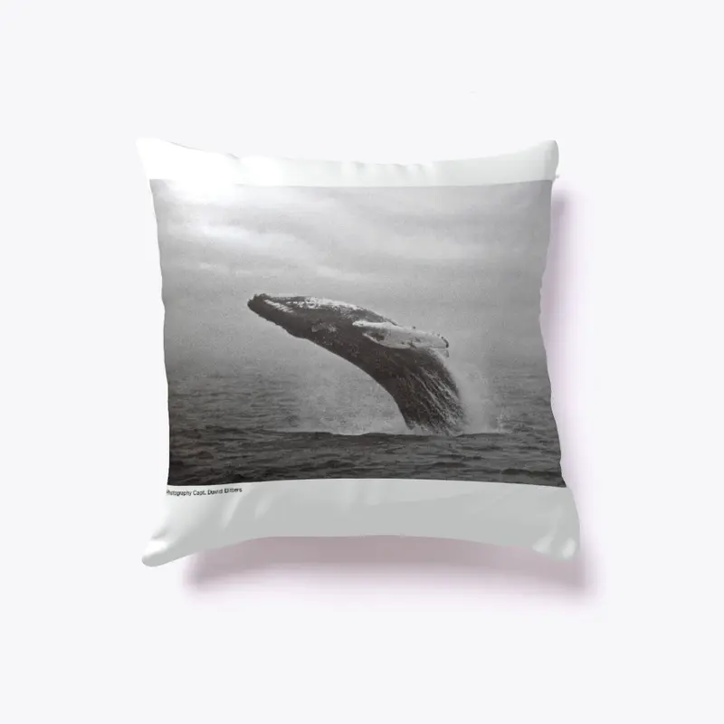 Humpback Whale Indoor Pillow